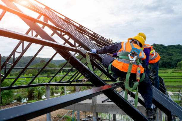 Roof Gutter Cleaning in Jonestown, PA